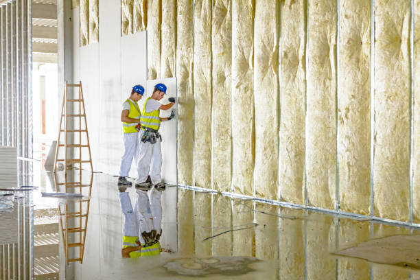 Best Commercial Insulation Services  in Green Meadows, OH